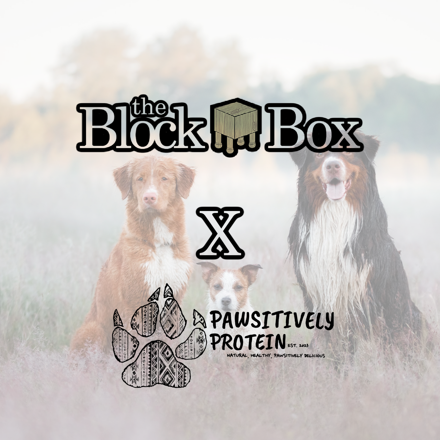Block Box X Pawsitively Protein